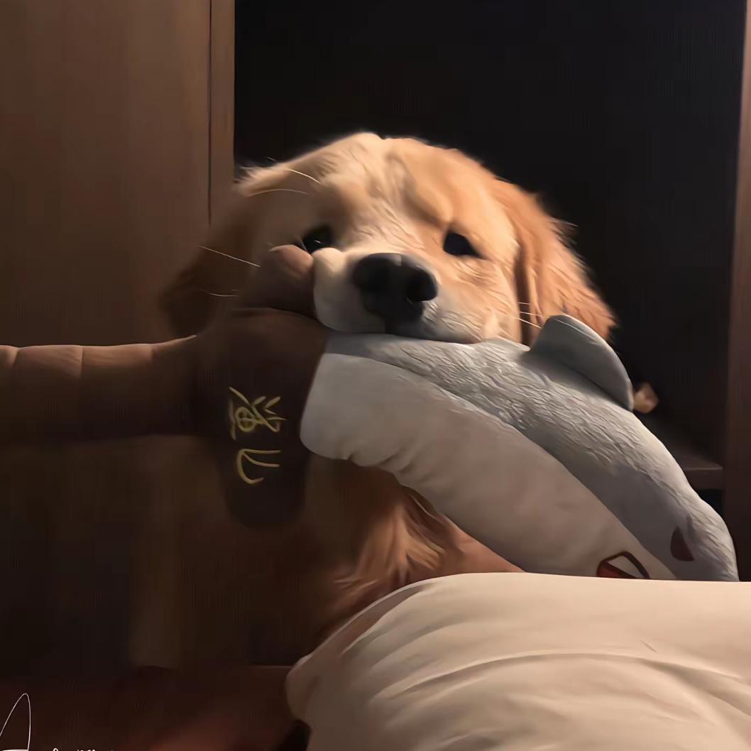 💤