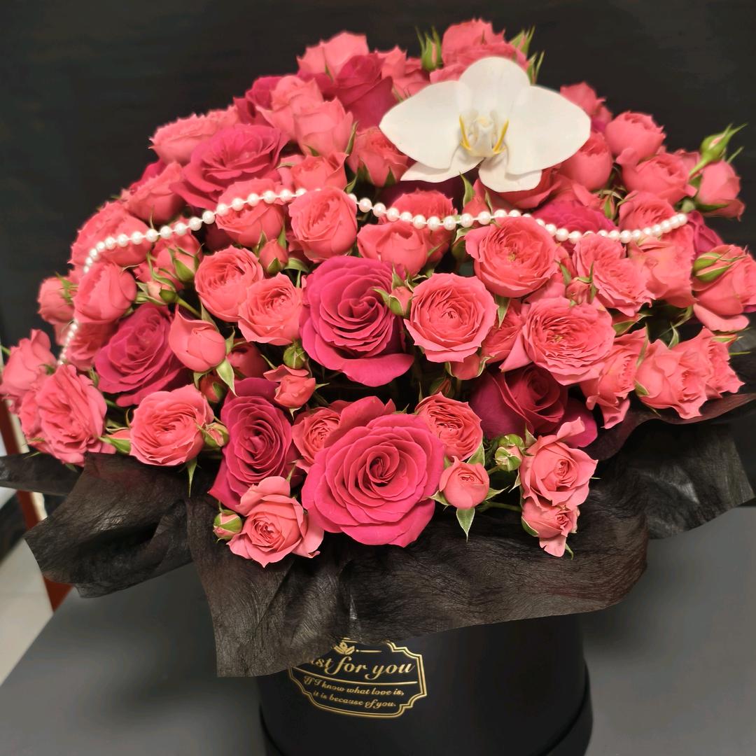 1/4的温柔太阳☀️