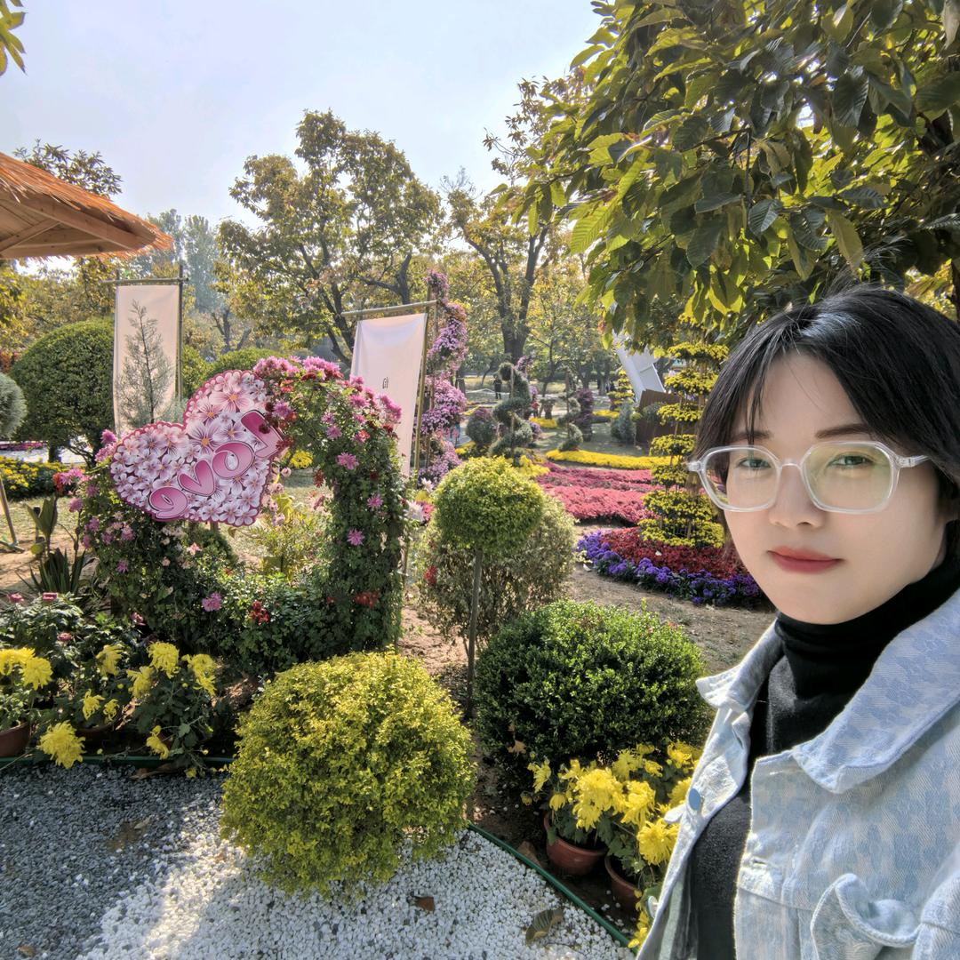 会飞的千纸鹤
