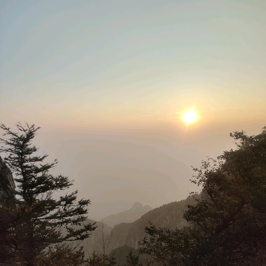 阿宝