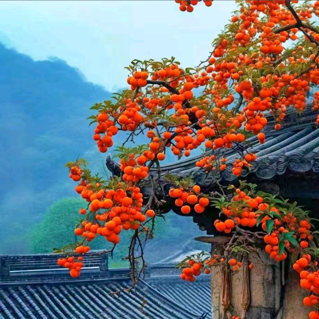 气吞天下
