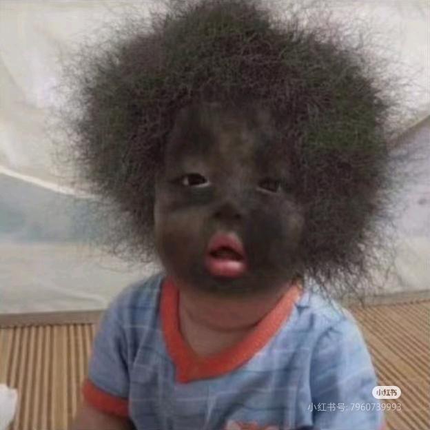 我要一步一步向上爬