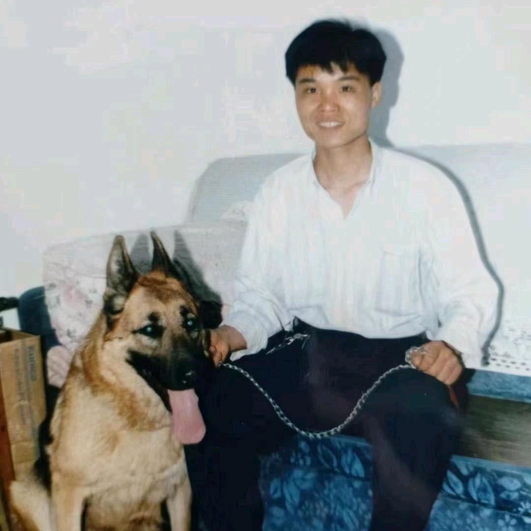 CSV狮承犬舍赛级德牧