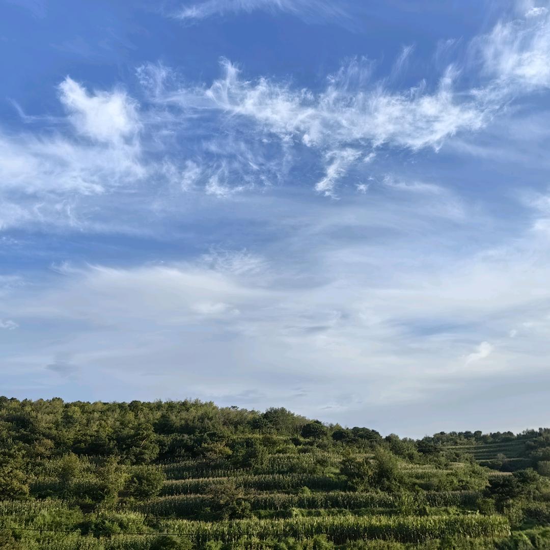 天津仓储货架厂