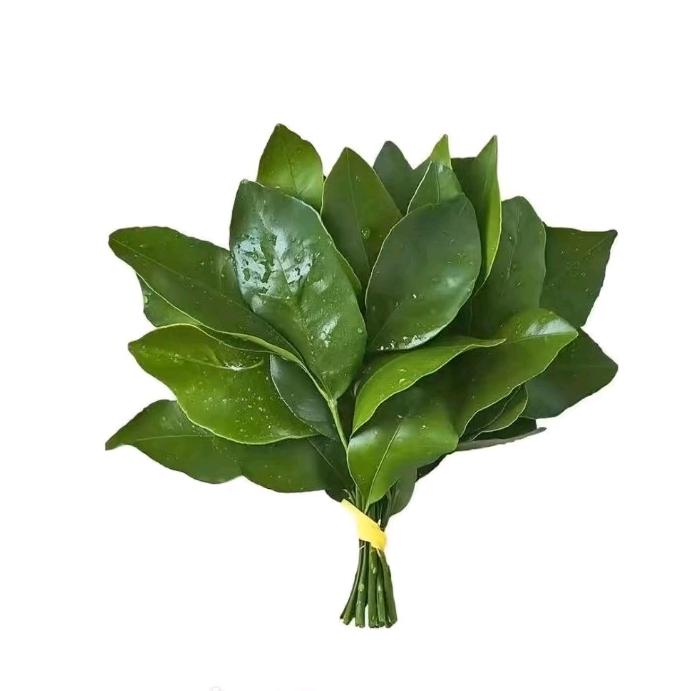 🌿是小萍呀～