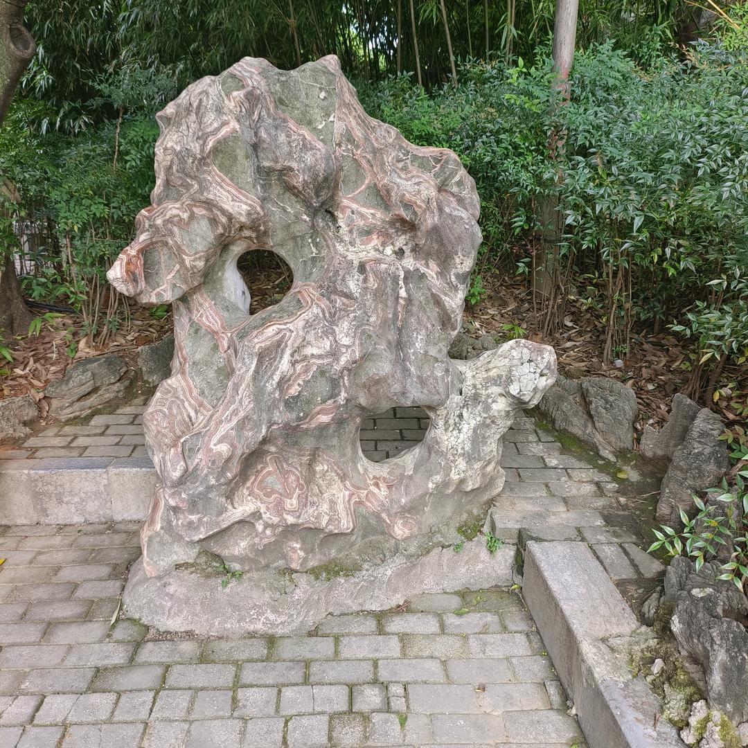未来遇见头像