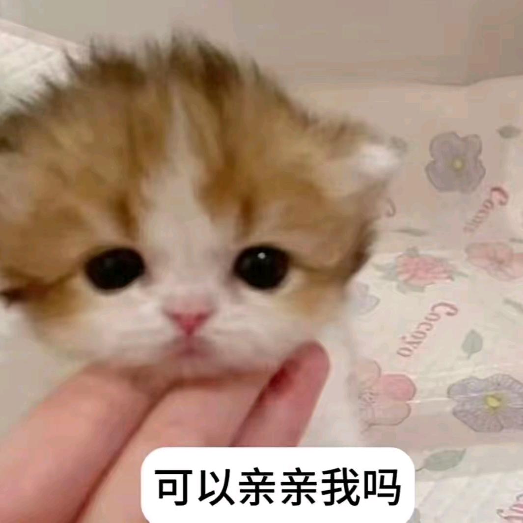 凍結