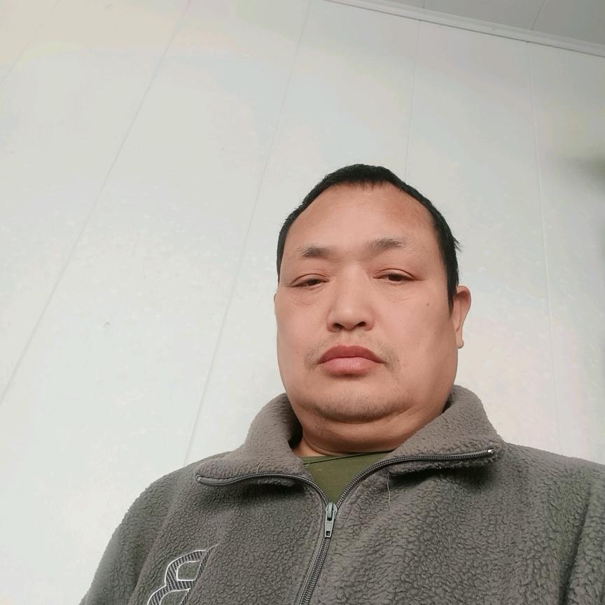 鸿运连连/