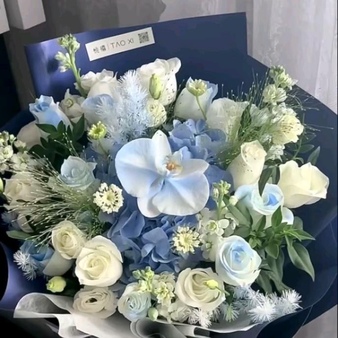 吃柠檬不吃醋♥