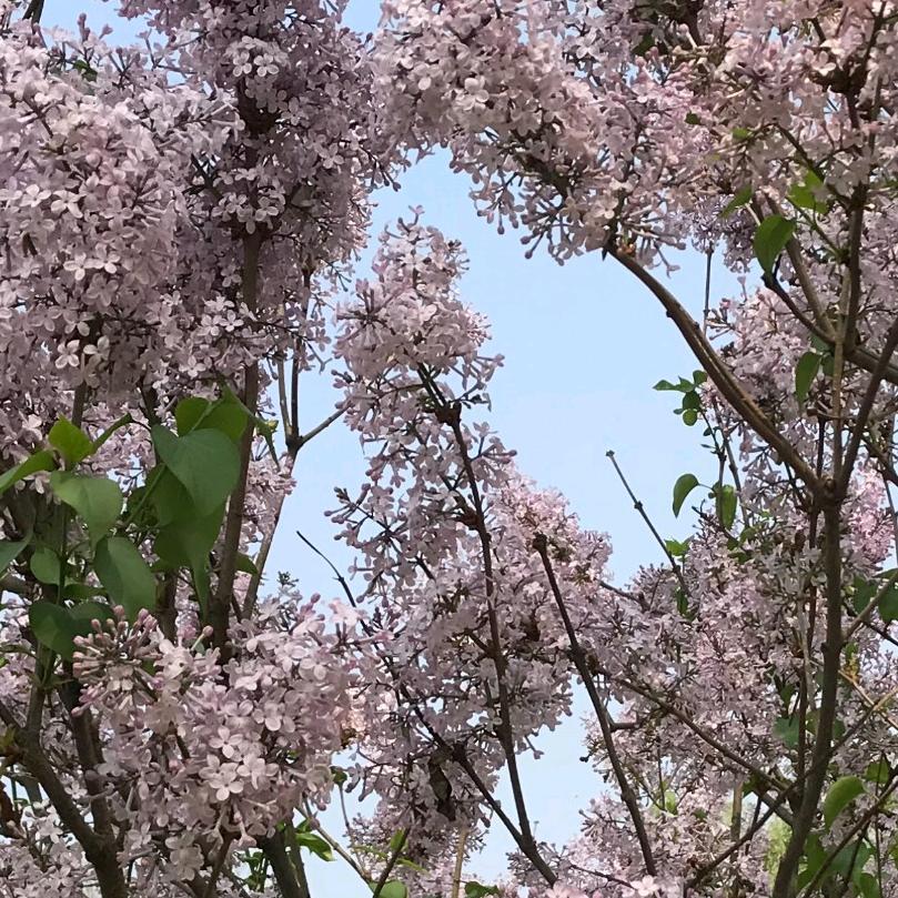 温暖花开