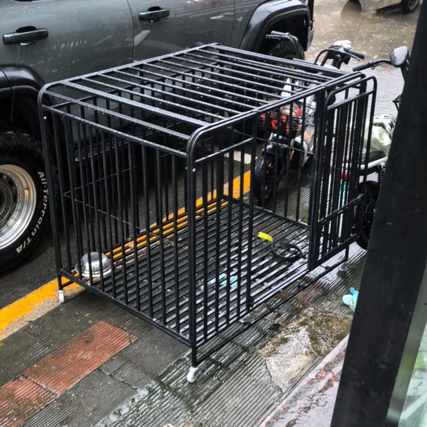 年轻得老总