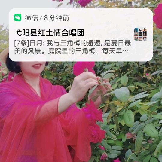 陆
