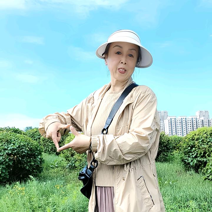 木子鸡汤