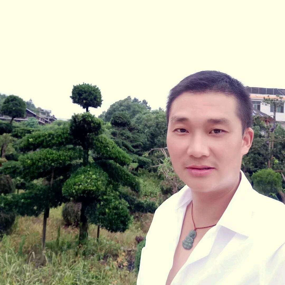 忘忧草的春天！