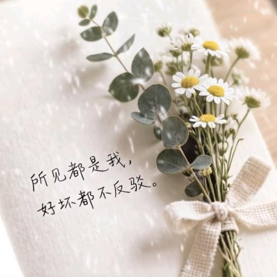 艺凡