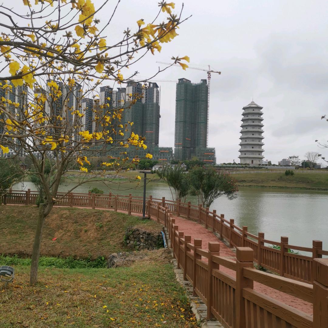顺其自然