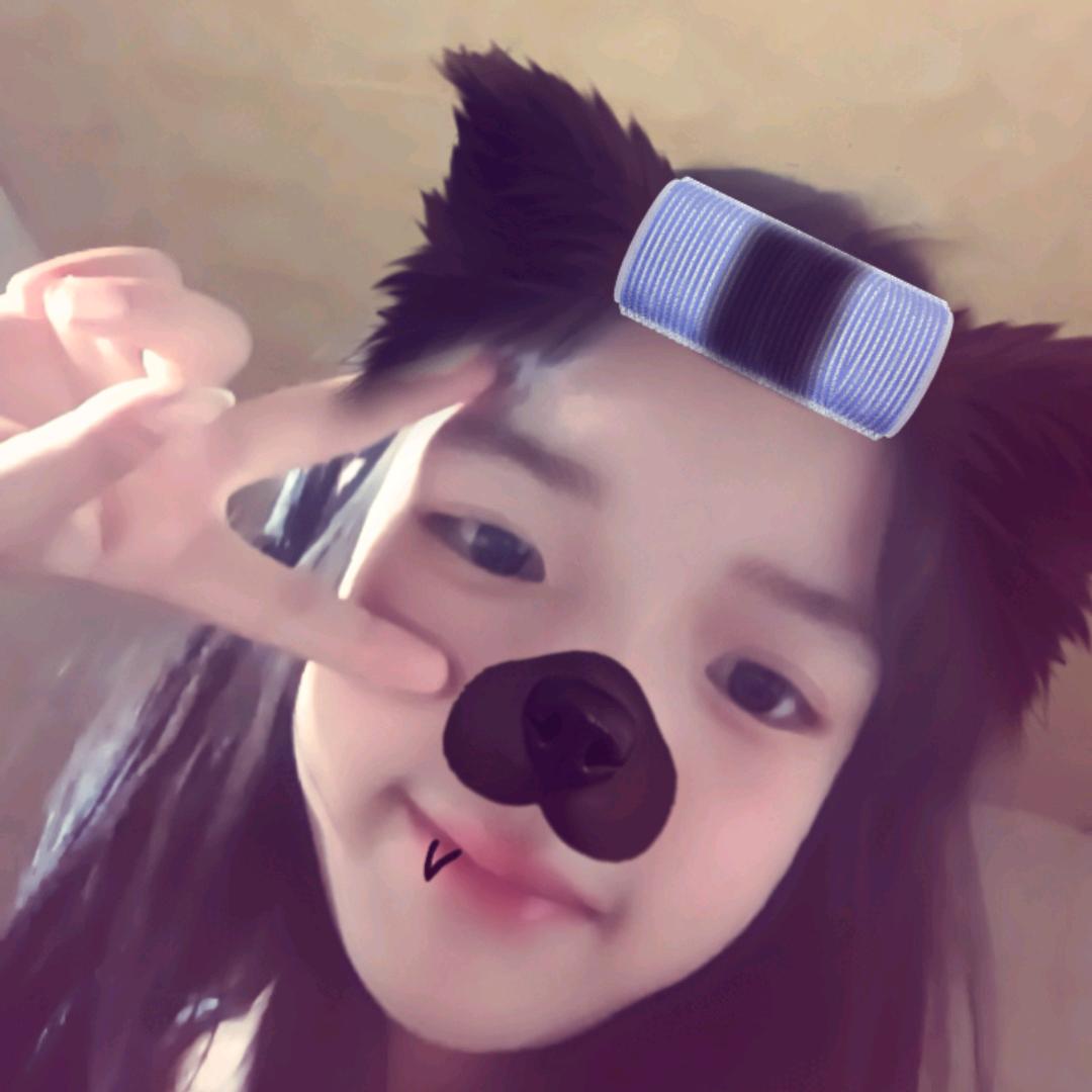 一只大笨猪
