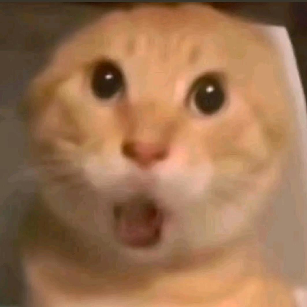 对不起我是卧龙