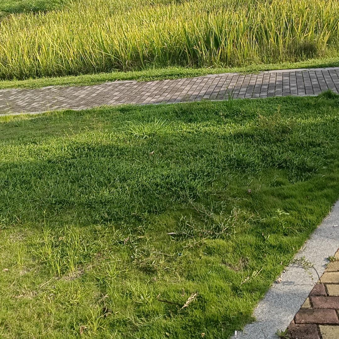 天使的翅膀带我飞