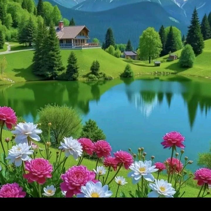 人间正道是沧桑🤱👍👍👍