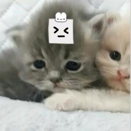 海角愁