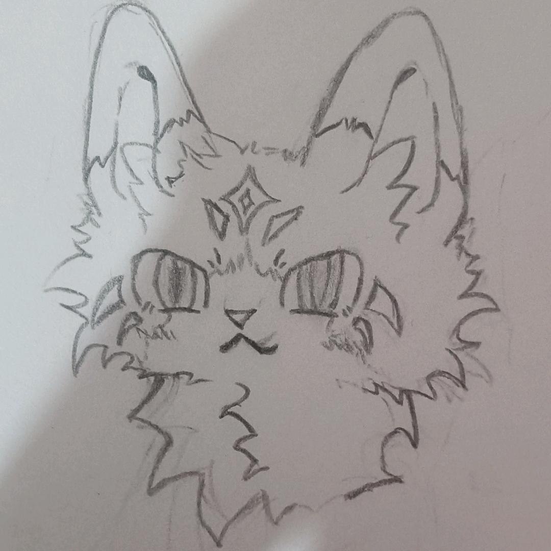 风姿卓越的猫