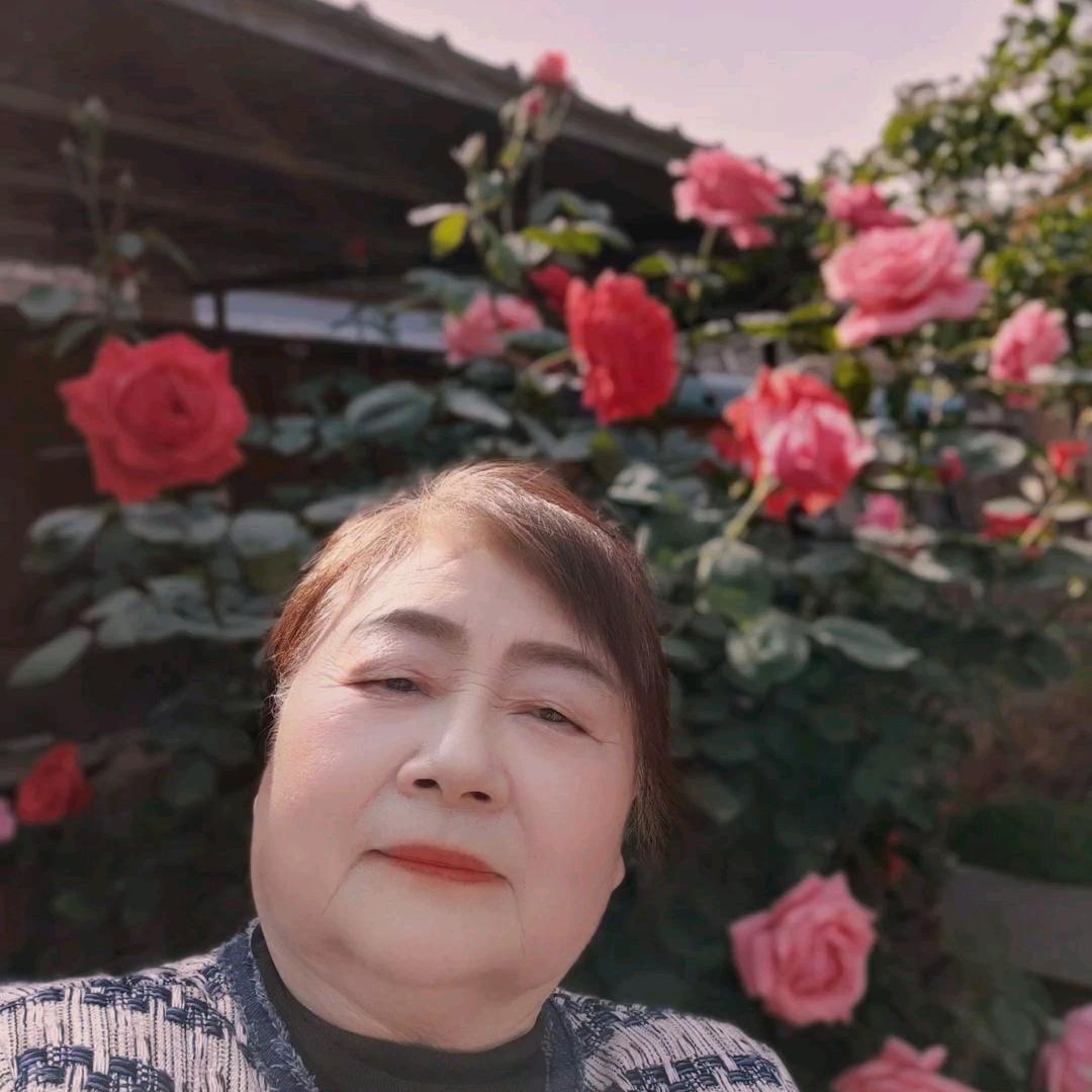 航灯起航