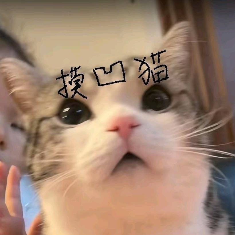 朝朝思思