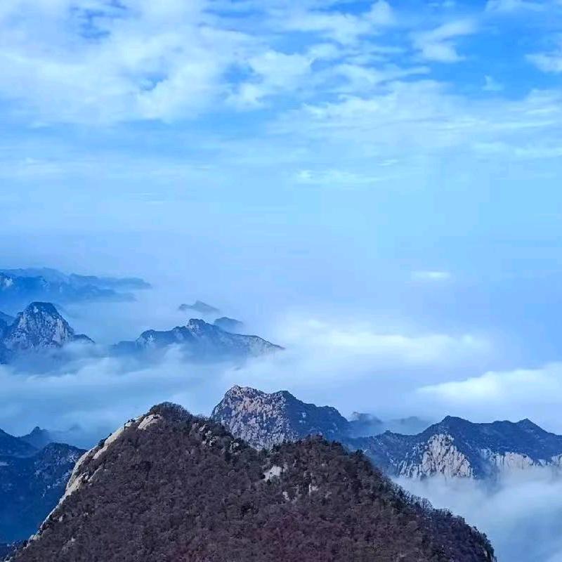 阳阳