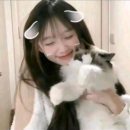 ₊✯͡ 桑榆 (ᐥᐜᐥ)♡︎