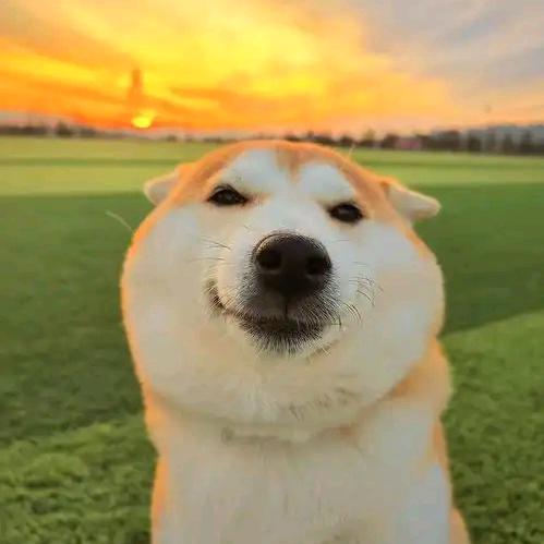 重生之我进厂上班