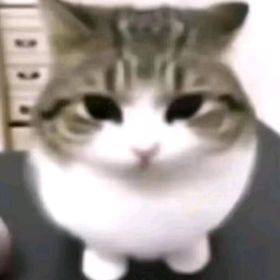 Boo