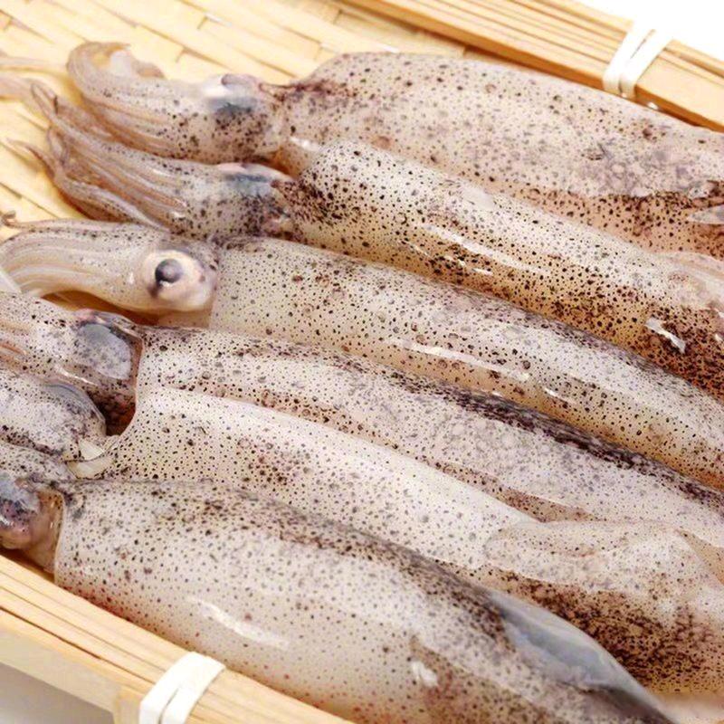 满籽满膏海兔