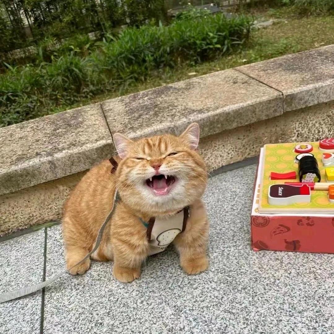 青柠Ω