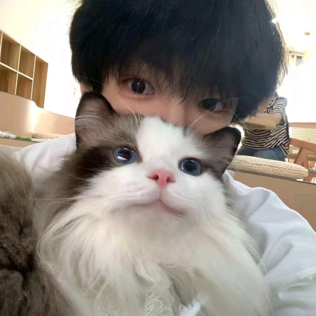 心动