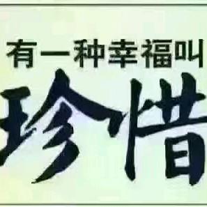 孤雁