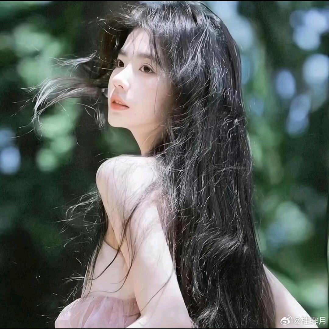 羊崽