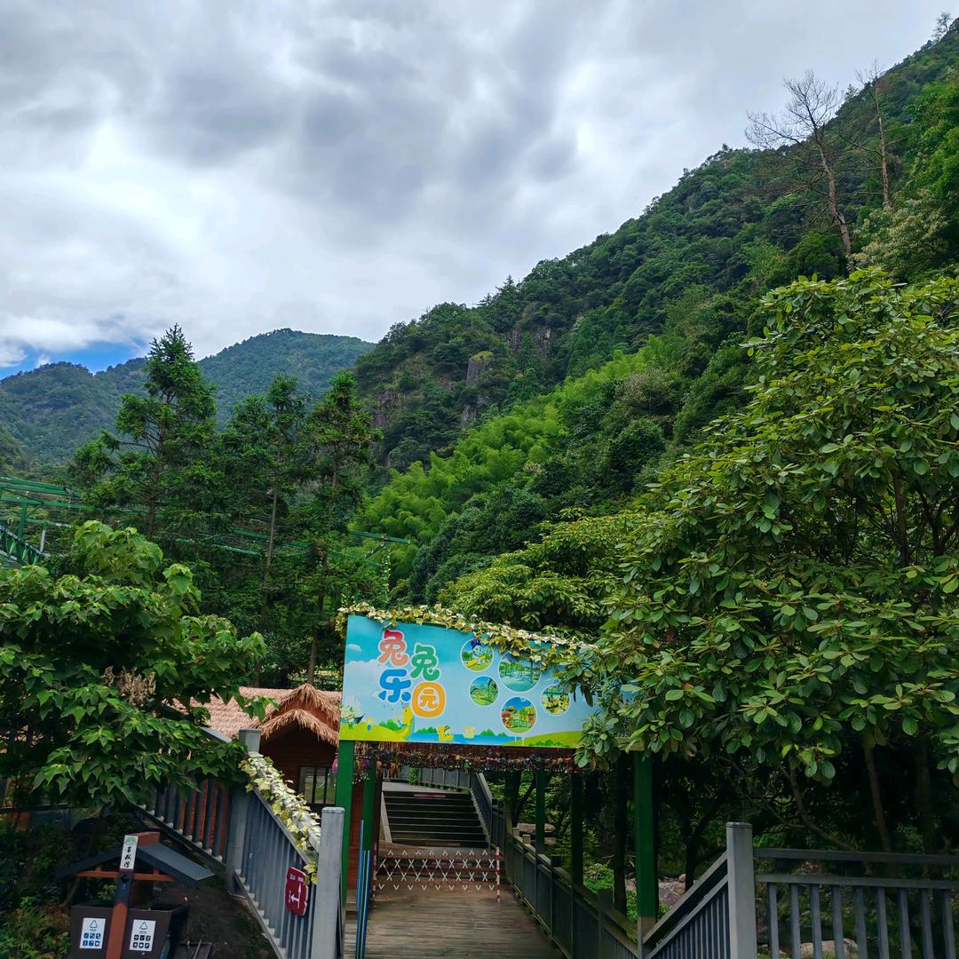 人间清醒
