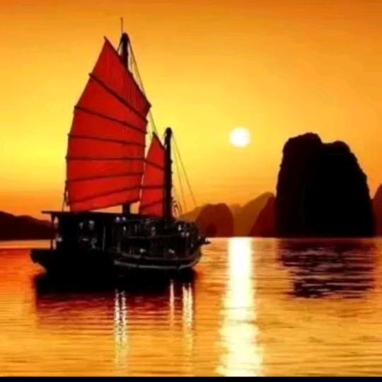 🌺🌼🌸冬天的太阳🌸🌼🌺