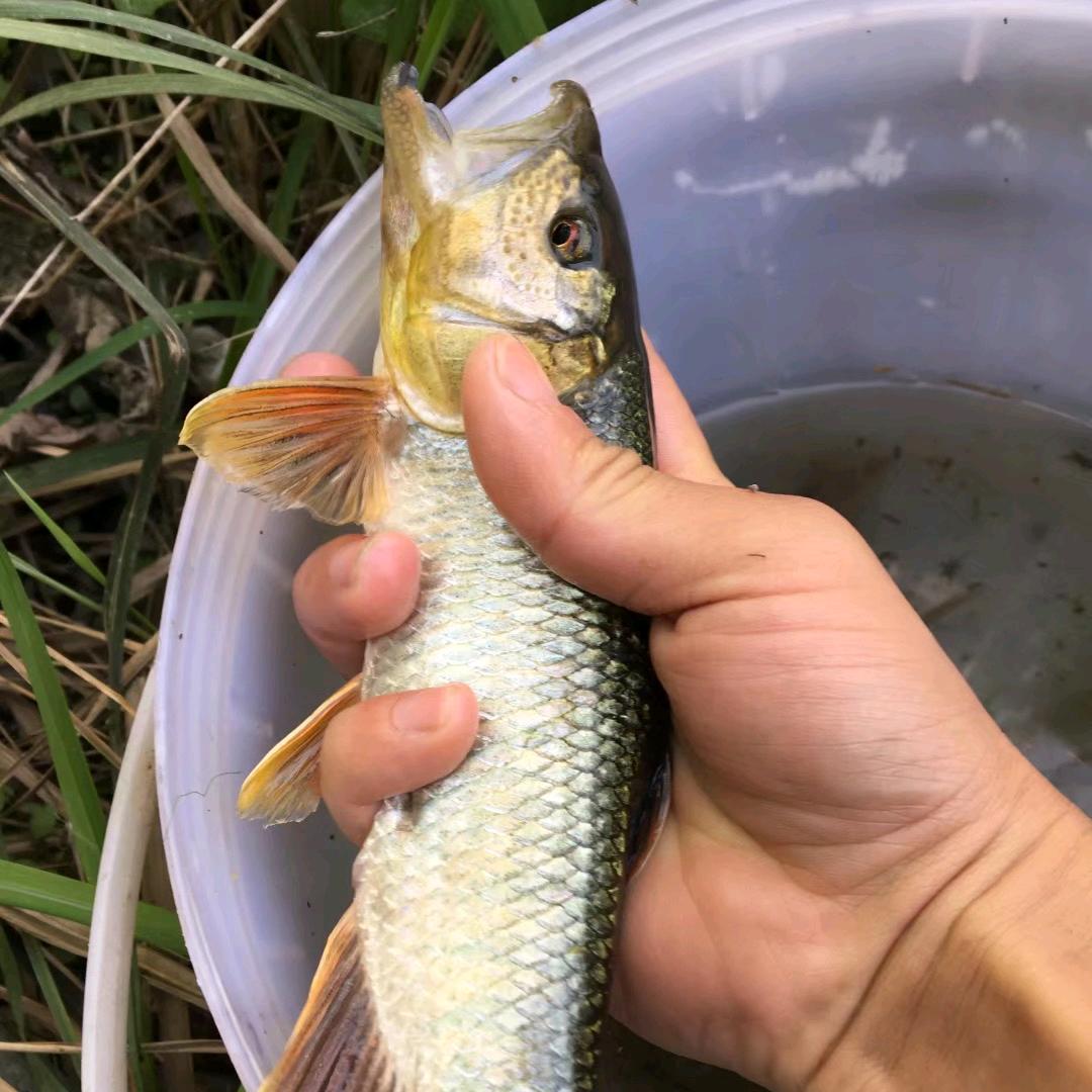 生活理想家