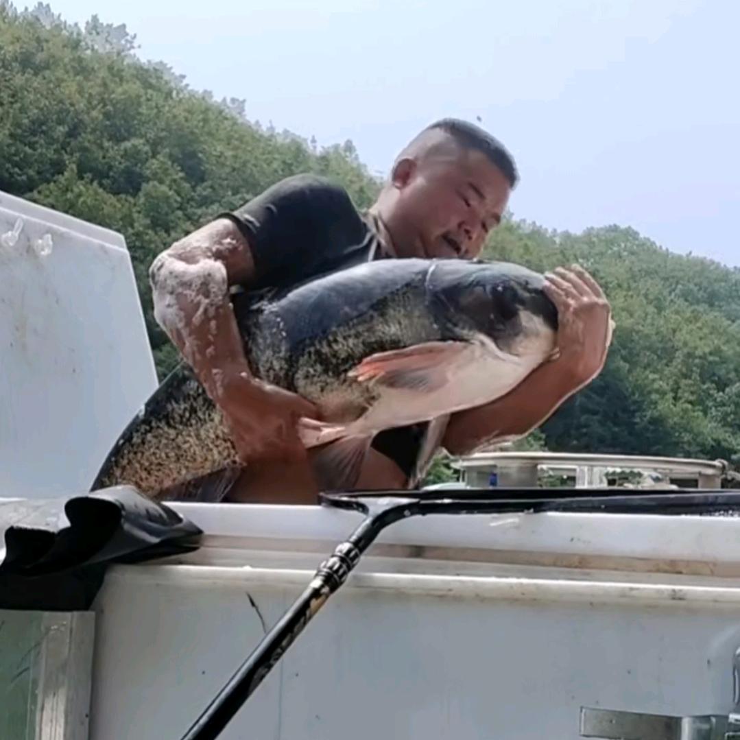 安康首家鲢鳙放钓水库