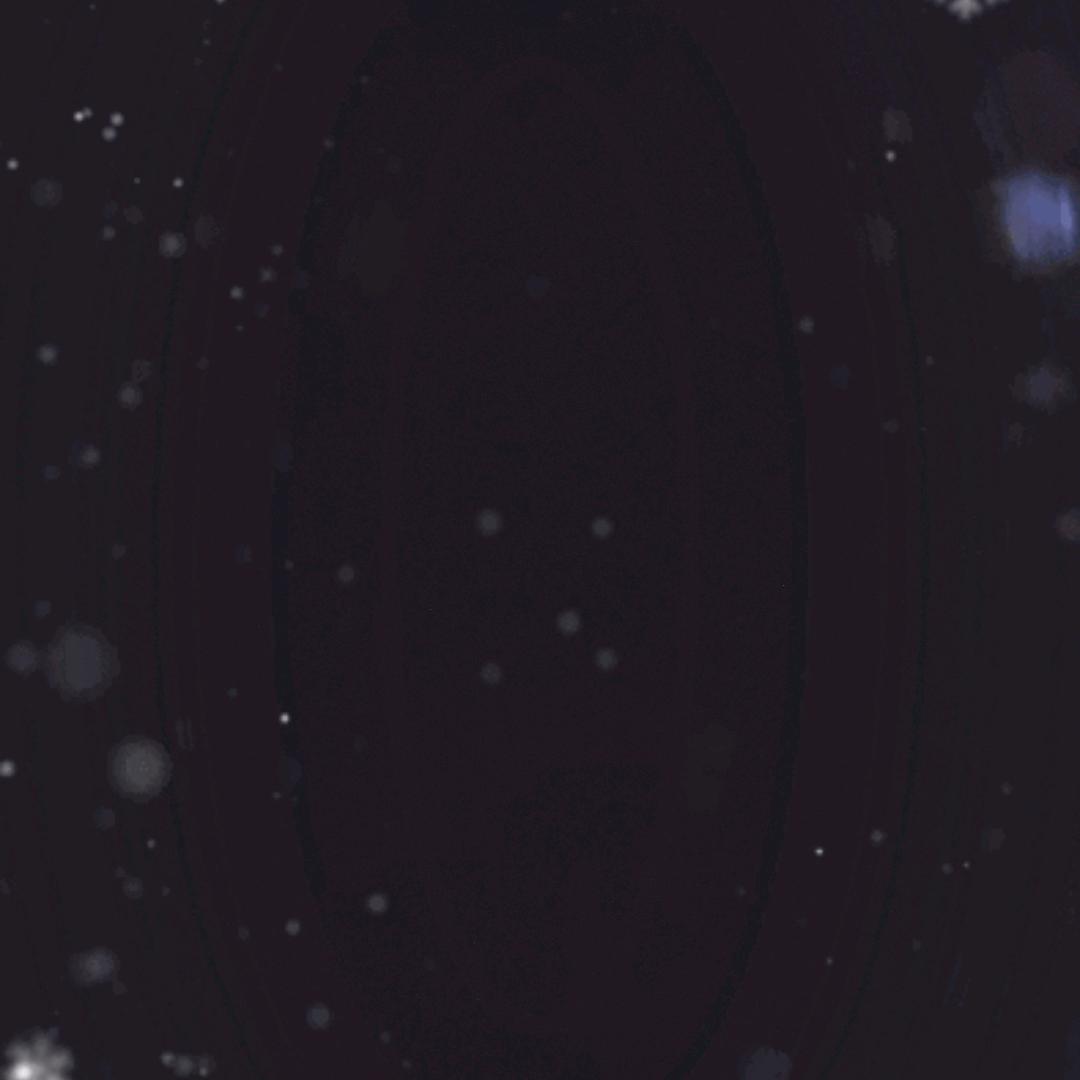枫筱