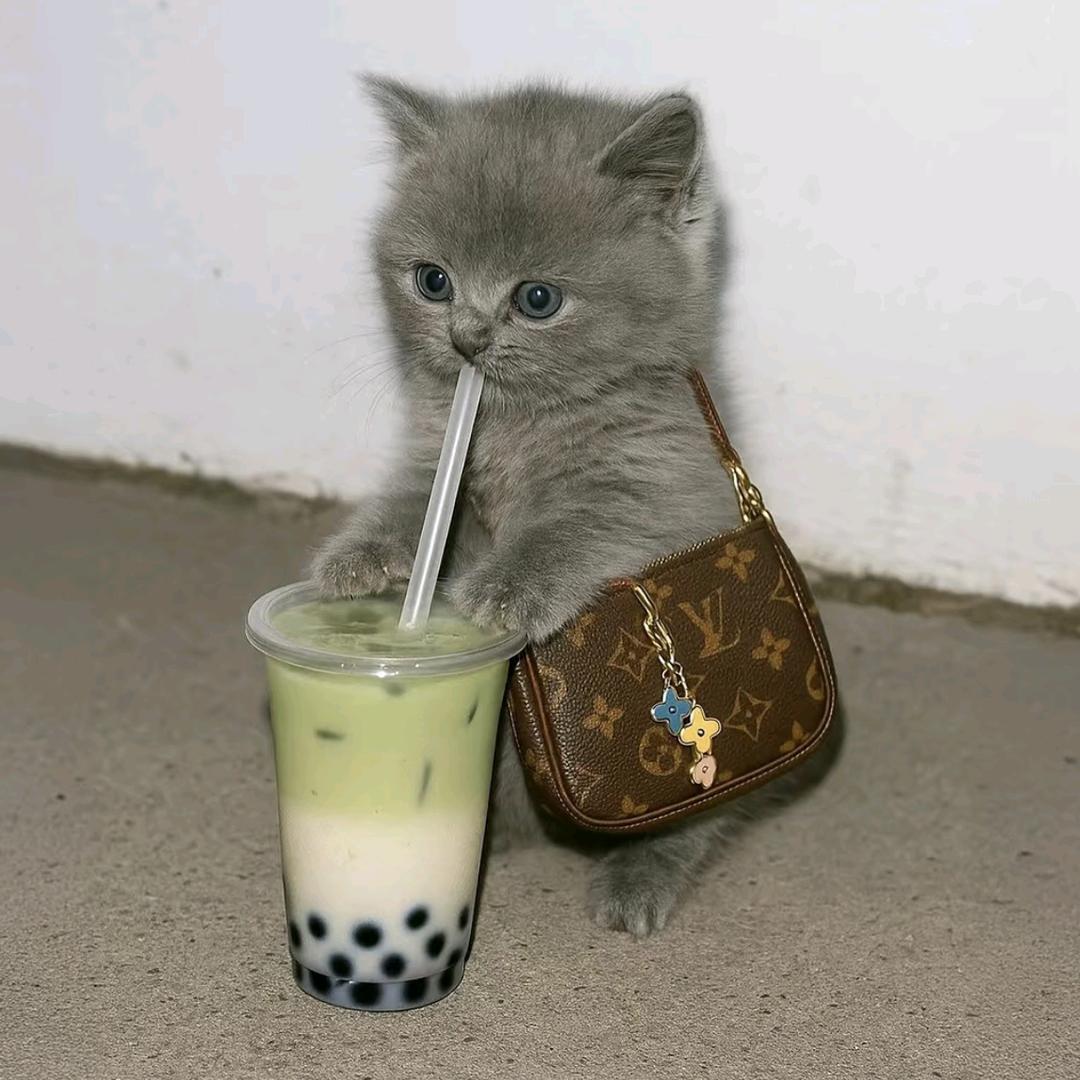 重生之我在彭水摆摊🧊