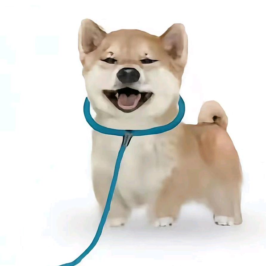 好身材导出来