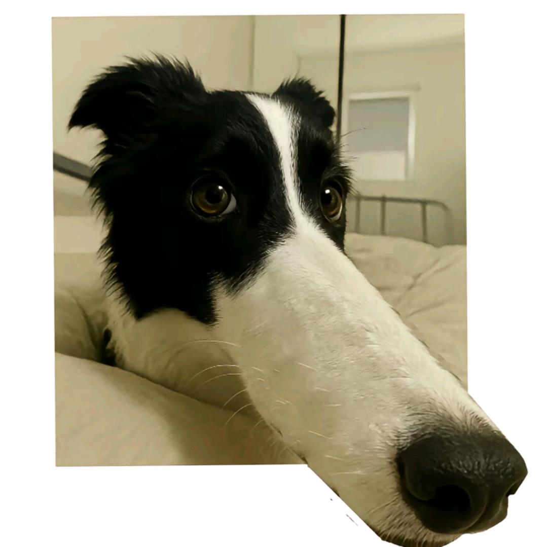 七分糖奶绿