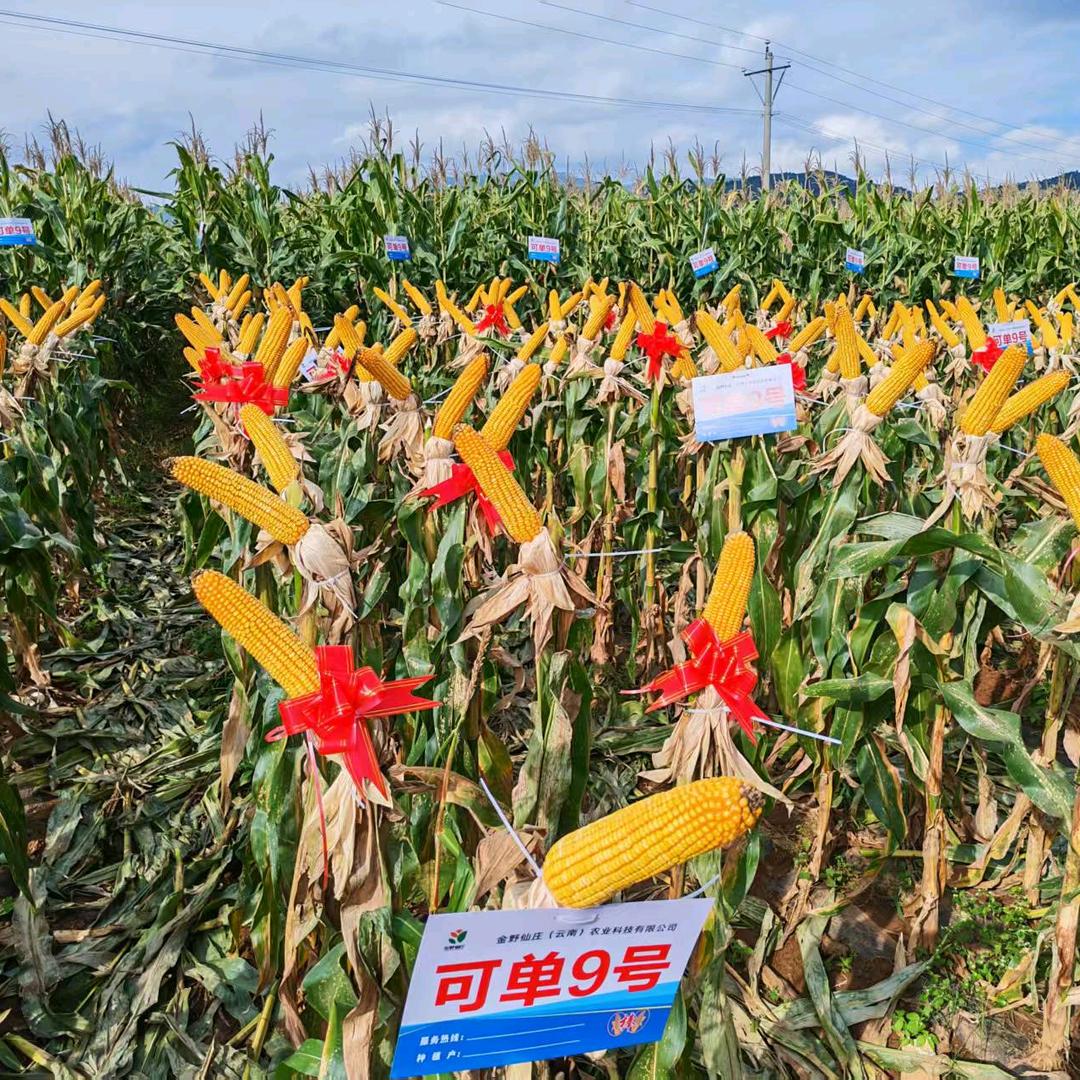 旺旺农资经营部