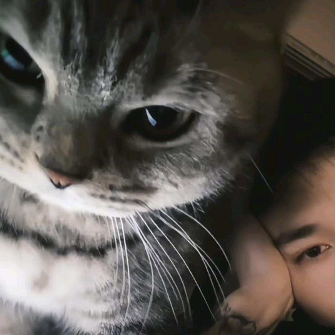 成有财