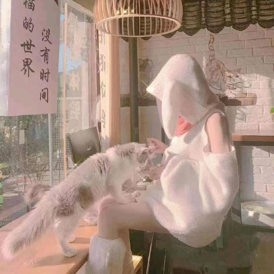.十七.