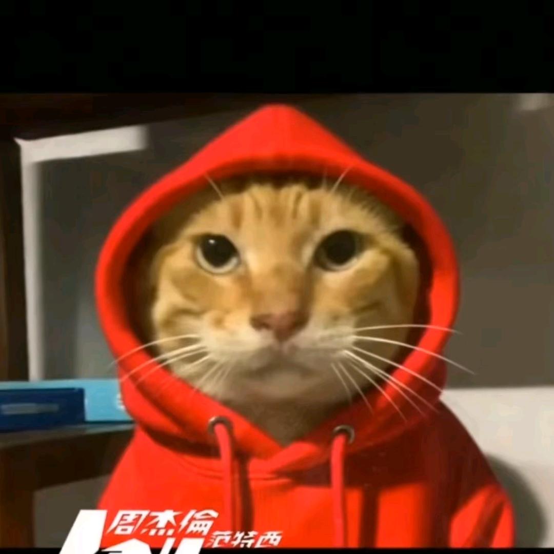 烨总叶子🦀🥕