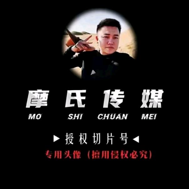 达摩切片～喜洋洋